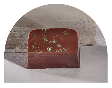 Mentha before